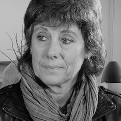 Marianne Thamm - The Lost Boys Of Bird Island